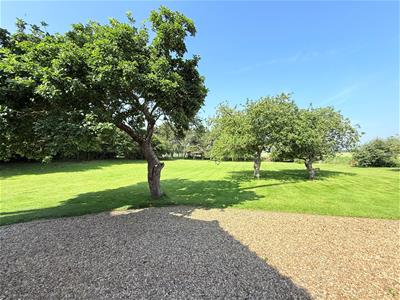 Picture 24